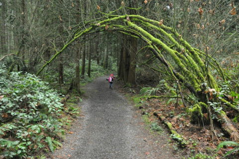 Bridle Trail - Find Attractions 0