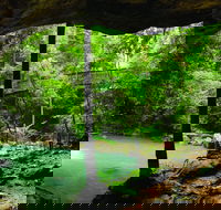 Buderim - Find Attractions
