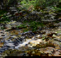 Budderoo National Park - Find Attractions