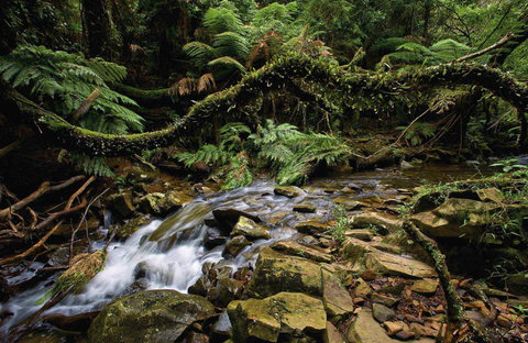Budderoo National Park - Find Attractions 0