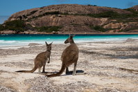 Cape Le Grand National Park