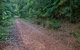 Cascade Mountain Bike Trail - thumb 0