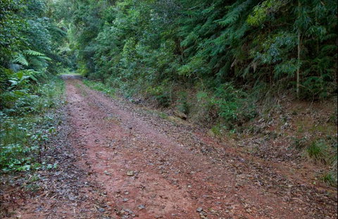 Cascade Mountain Bike Trail - Find Attractions 0