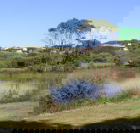 Centennial Park Beachport - Find Attractions