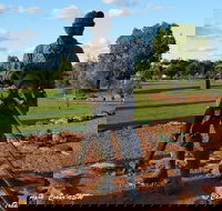 Cobar Miners Heritage Park - Find Attractions