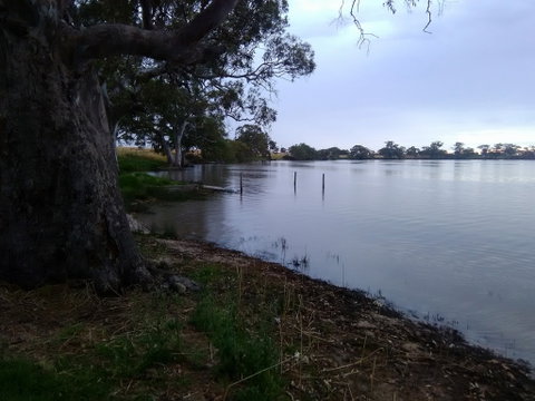 Cockatoo Lake Recreation Reserve - Find Attractions 1