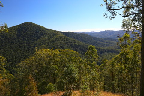 Conondale National Park - Find Attractions 0