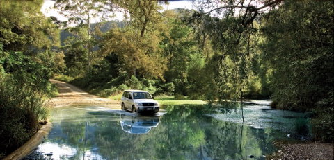 Conondale National Park - Find Attractions 1