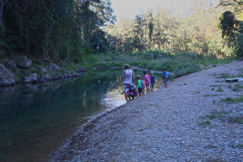 Conondale National Park - Find Attractions 2