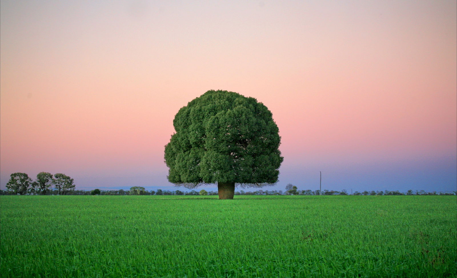 Condamine QLD Find Attractions