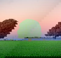 Condamine - Find Attractions