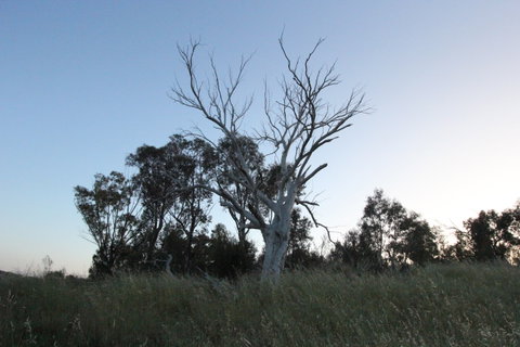 Cooleman Ridge - Find Attractions 1