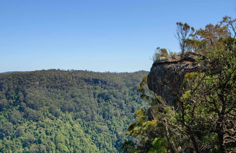 Cooks Nose Walking Track - Find Attractions 0