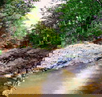 Currumbin Rock Pools - Find Attractions