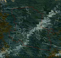 Dingo Forest - Find Attractions