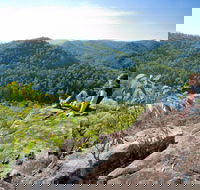 Dubbo Gully Loop Trail - Find Attractions