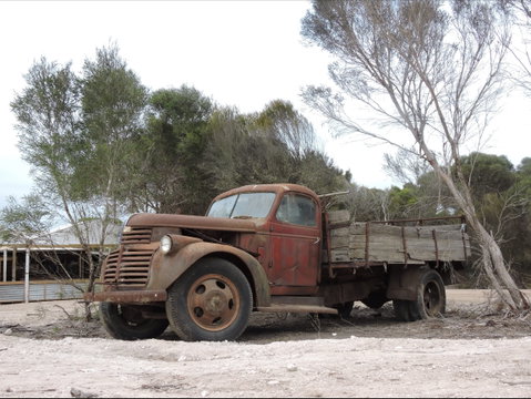 Emu Ridge Eucalyptus Pty Ltd - Find Attractions 2