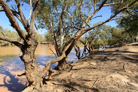 Eulo Five Mile Waterhole - Find Attractions 0