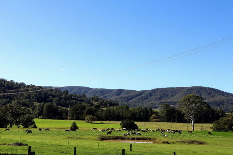 Farm Visit  Dungog - Find Attractions 1