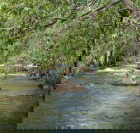 Florence Creek walk - Find Attractions