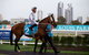 Gold Coast Turf Club - thumb 2
