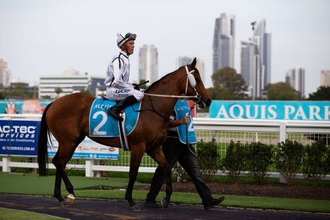 Gold Coast Turf Club - Find Attractions 2