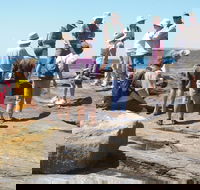 Gondwana Coast Fossil Walk - Find Attractions