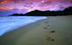 Hinchinbrook Island National Park - thumb 2