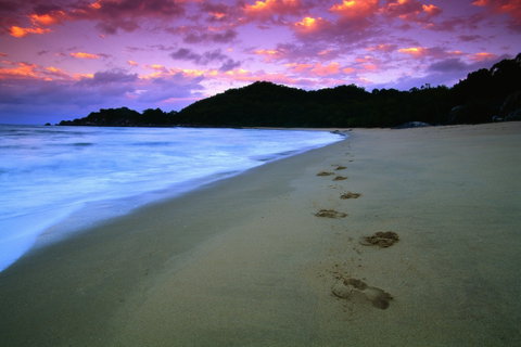 Hinchinbrook Island National Park - Find Attractions 2