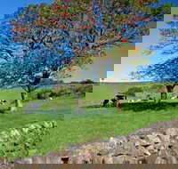 Historic Dry Stone Walls Kiama - Find Attractions