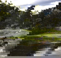Hunter Wetlands Centre - Find Attractions