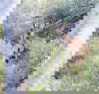 Kaiserstuhl Conservation Park - Find Attractions