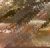 Kholo Gardens Trails - Find Attractions
