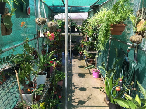 Kilcoy Craft Market - Find Attractions 1