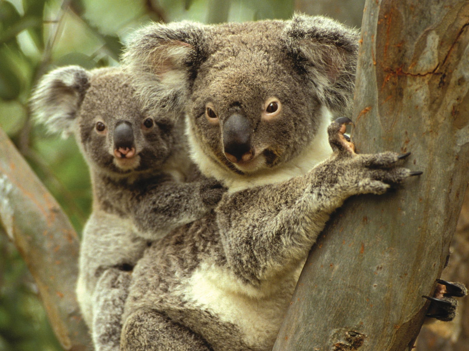  Find Attractions
