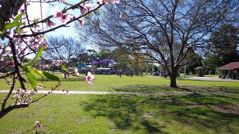 Koshigaya Park - Find Attractions 0