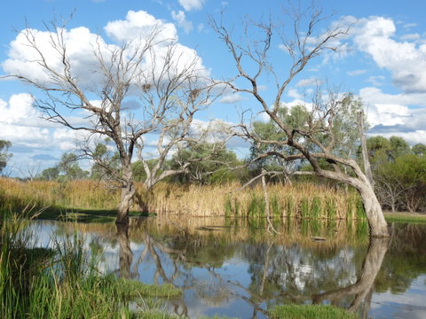 Lagoon Creek - Find Attractions 0