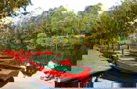 Lane Cove National Park