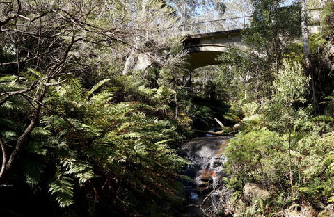 Leura Cascades - Find Attractions 2