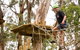 Live Wire Park - thumb 1