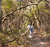 Lyrebird Dell walking track - Find Attractions