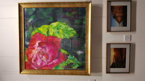 Macleay Valley Community Art Gallery - Find Attractions 0