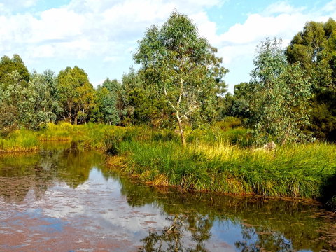 Mansfield Mullum Wetlands - Find Attractions 0