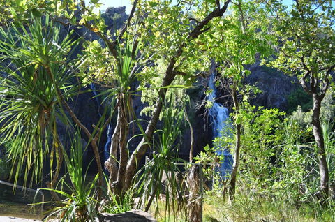 Manngarre Rainforest Walk - Find Attractions 1