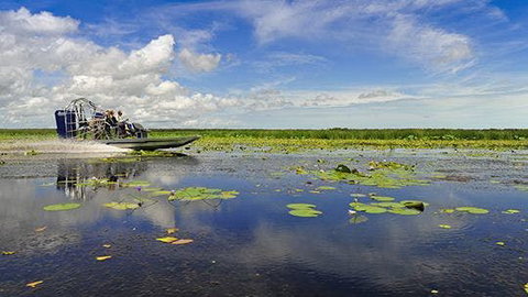 Mary River Area - Find Attractions 2