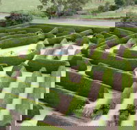 Mintaro Maze - Find Attractions