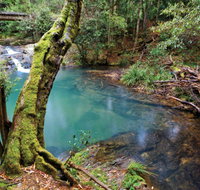 Mobong walking track - Find Attractions