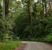 Moonpar Forest drive - Cascade National Park - Find Attractions