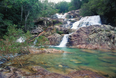 Mount Spec, Paluma Range National Park - Find Attractions 1