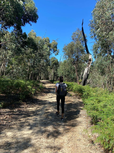 Mt Everard Circuit - Find Attractions 0